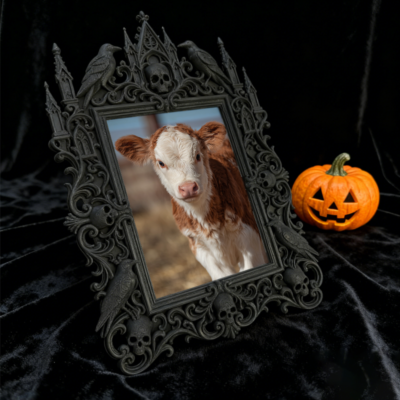 Premium Court Relief Frame | Tailor Shop Custom Suit Display, Photo Prop, Royal Retro Style