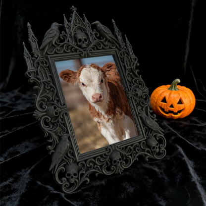 Premium Court Relief Frame | Tailor Shop Custom Suit Display, Photo Prop, Royal Retro Style