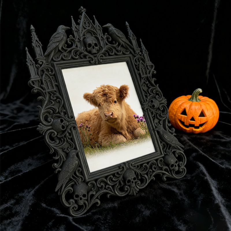 TikTok-trending Gothic Dark-style Photo Frame | Gothic Lash Lift Studio Shelf Decor, Photo Ornament, Wall-mountable & Tabletop, High-gloss F