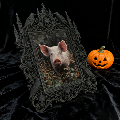Customer-approved Gothic Dark-style Photo Frame | Vampire Masquerade Ball Photo Booth Decor, Photo Ornament, Dual-use Display, Sturdy Frame