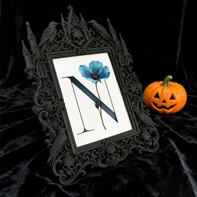 Customer-loved Gothic Dark-style Photo Frame | Vampire-themed Caf茅 Menu Board Decor, Photo Ornament, Dual-use Display, Sturdy Frame