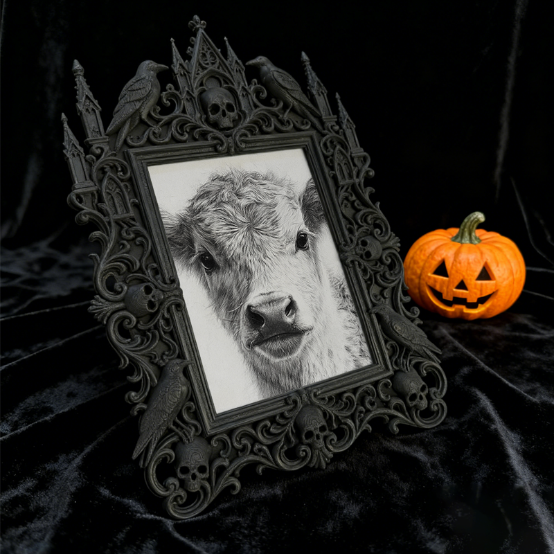 Exclusive-stock-drop Gothic Dark-style Photo Frame | Occult Rune Engraving Studio Decor, Photo Ornament, Wall-mountable & Tabletop, Collecti