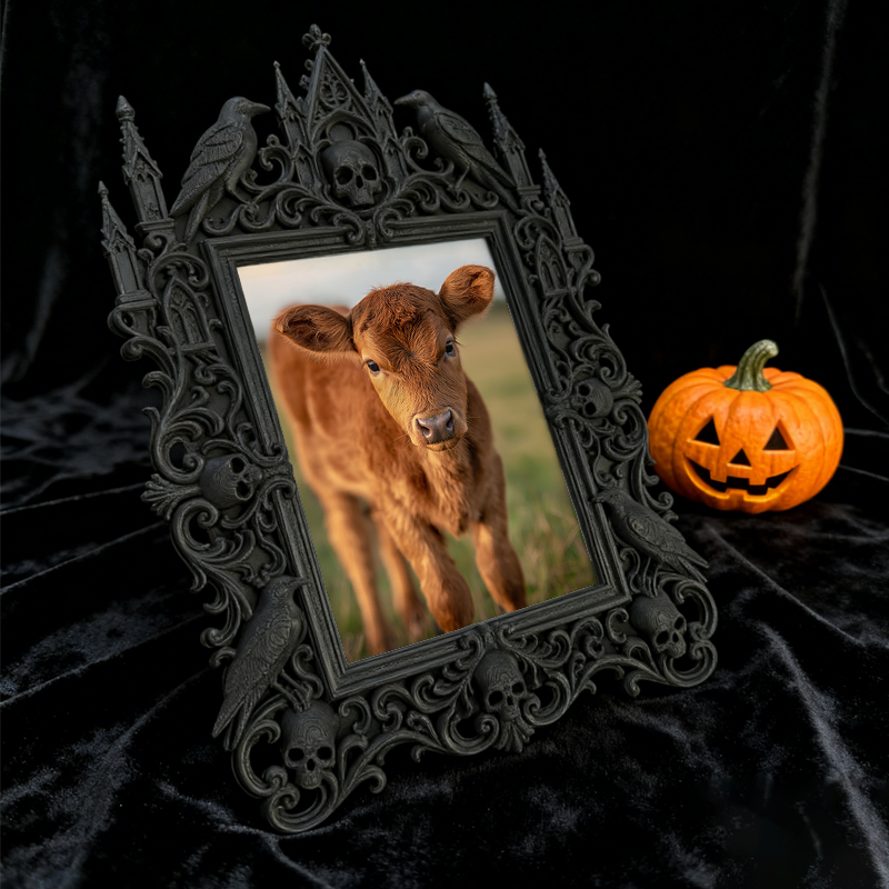 5-star-approved Gothic Dark-style Photo Frame | Werewolf-themed Cabin Bedroom Decor, Photo Ornament, Dual-use Display, Sturdy Frame