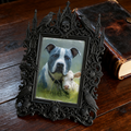 Gothic Dark Frame | Laundry Room Wall Accent, Photo Display, Dual-use