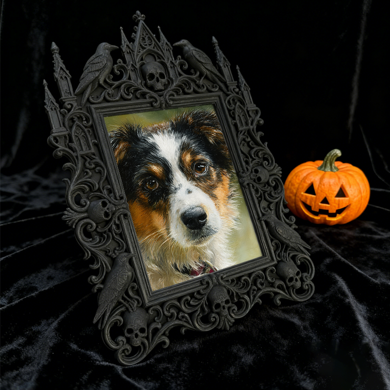 Gothic Dark Frame | Perfume Shop Decor, Photo Holder, Dual-use