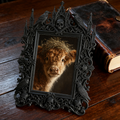 Gothic Dark Frame | Skate Park Lounge Area Decor, Photo Display, Dual-use