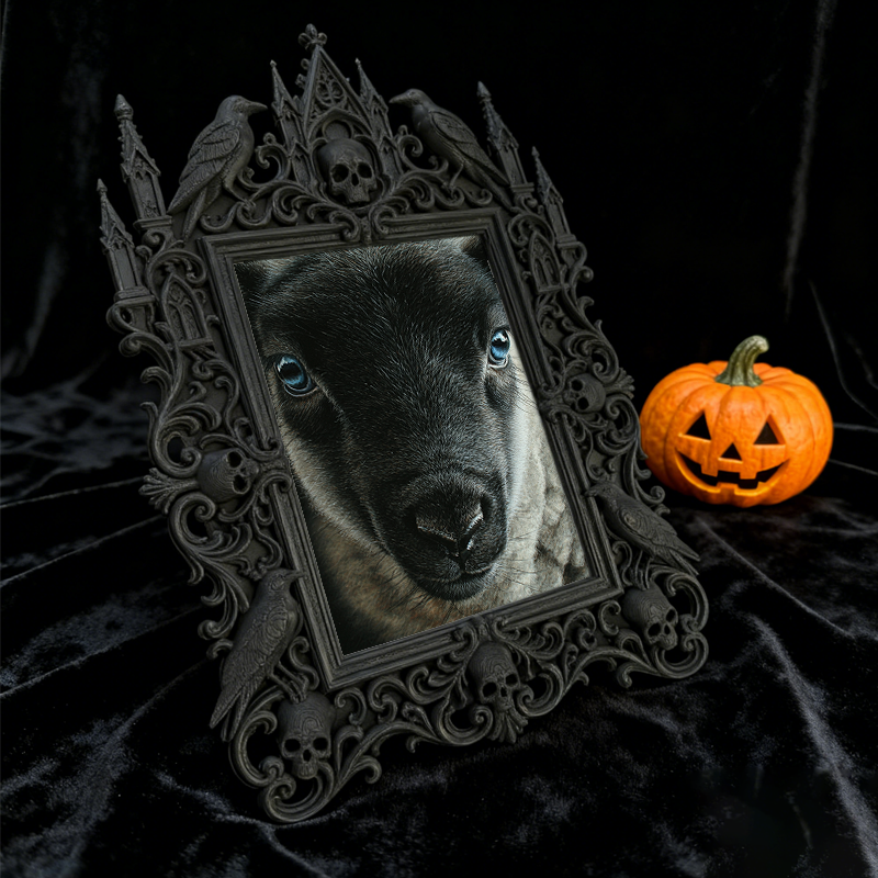 Gothic Dark Frame | Handmade Soap Shop Decor, Photo Holder, Wall/Tabletop