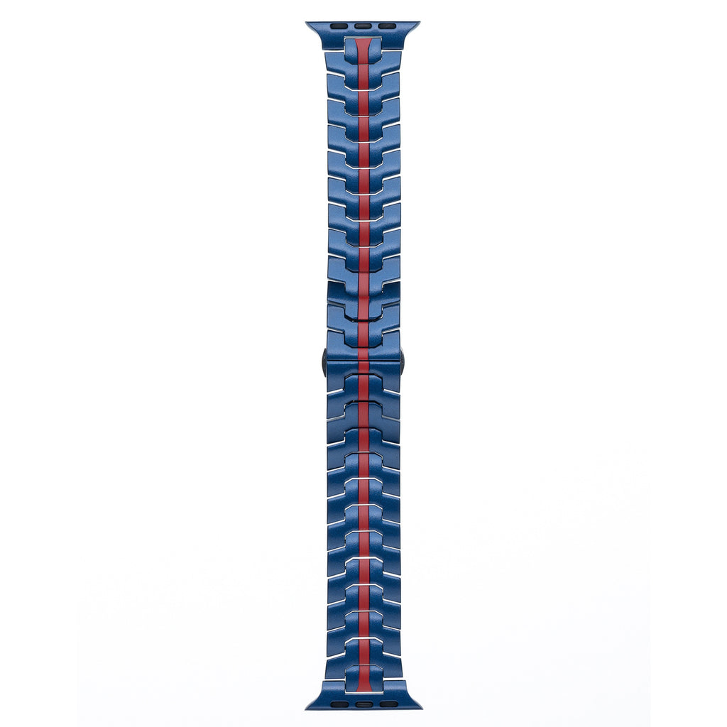 stainless steel strap 1806